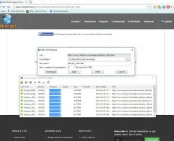 Slimjet screenshot 2