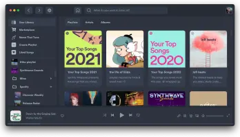 Spotify with Nord theme — a cool blue-toned interface inspired by the Nord color palette