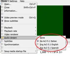 Subtitle Workshop: Audio stream menu with language and channel options