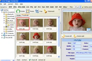 Total Image Converter: Image converter showing photo thumbnails, a preview, and conversion options
