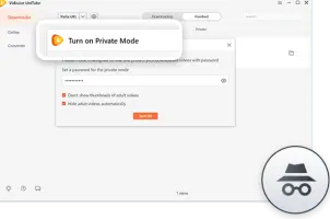 VidJuice UniTube: Private mode settings dialog