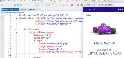 Screenshot of cross-platform mobile development