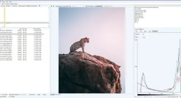 WildBit Viewer screenshot 1