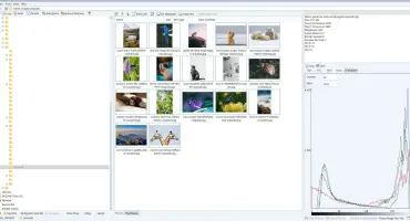 WildBit Viewer screenshot 2