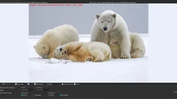 WildBit Viewer screenshot 5