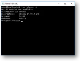 Screenshot of distro details