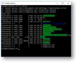 Screenshot of mounted C drive