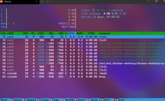 Windows Terminal screenshot 2