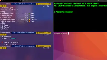 Windows Terminal screenshot 3