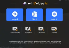 Winxvideo AI interface