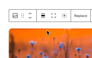 WordPress screenshot 2