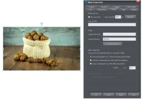 Xara Web Designer: Web Properties dialog for an image selected on the page