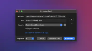 XDM New download window