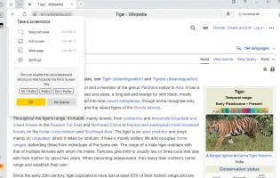 Yandex Browser screenshot 1