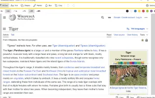 Yandex Browser screenshot 2
