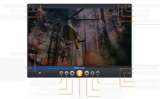 Zoom Player