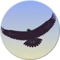 Eagle Mode
