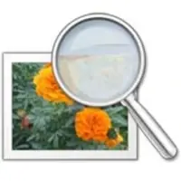 GSA Image Analyser