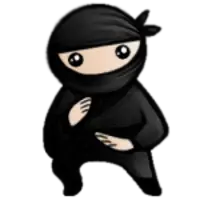 System Ninja